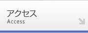 �A�N�Z�X